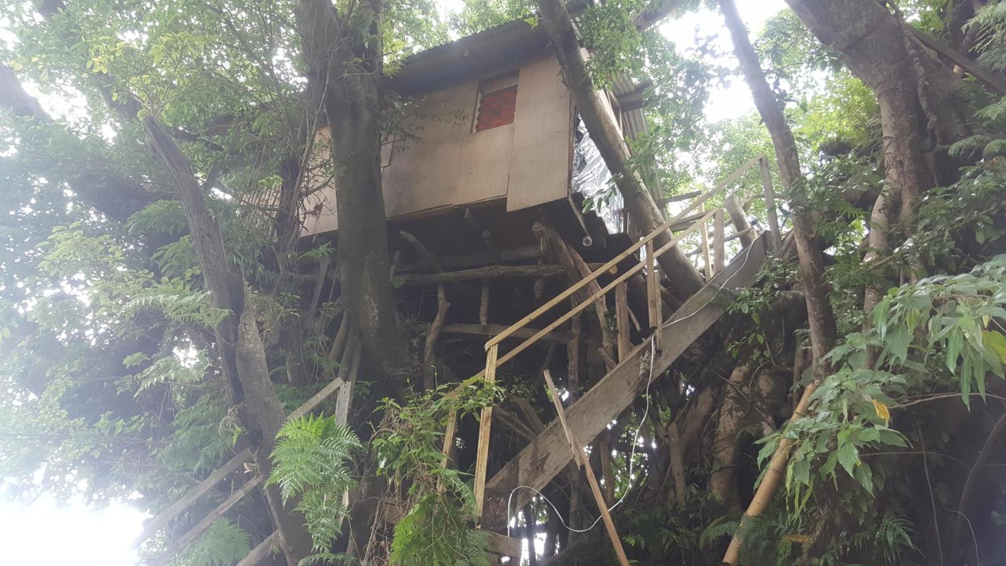 Castle Tree House And Bungalow Hotel White Sands Room photo