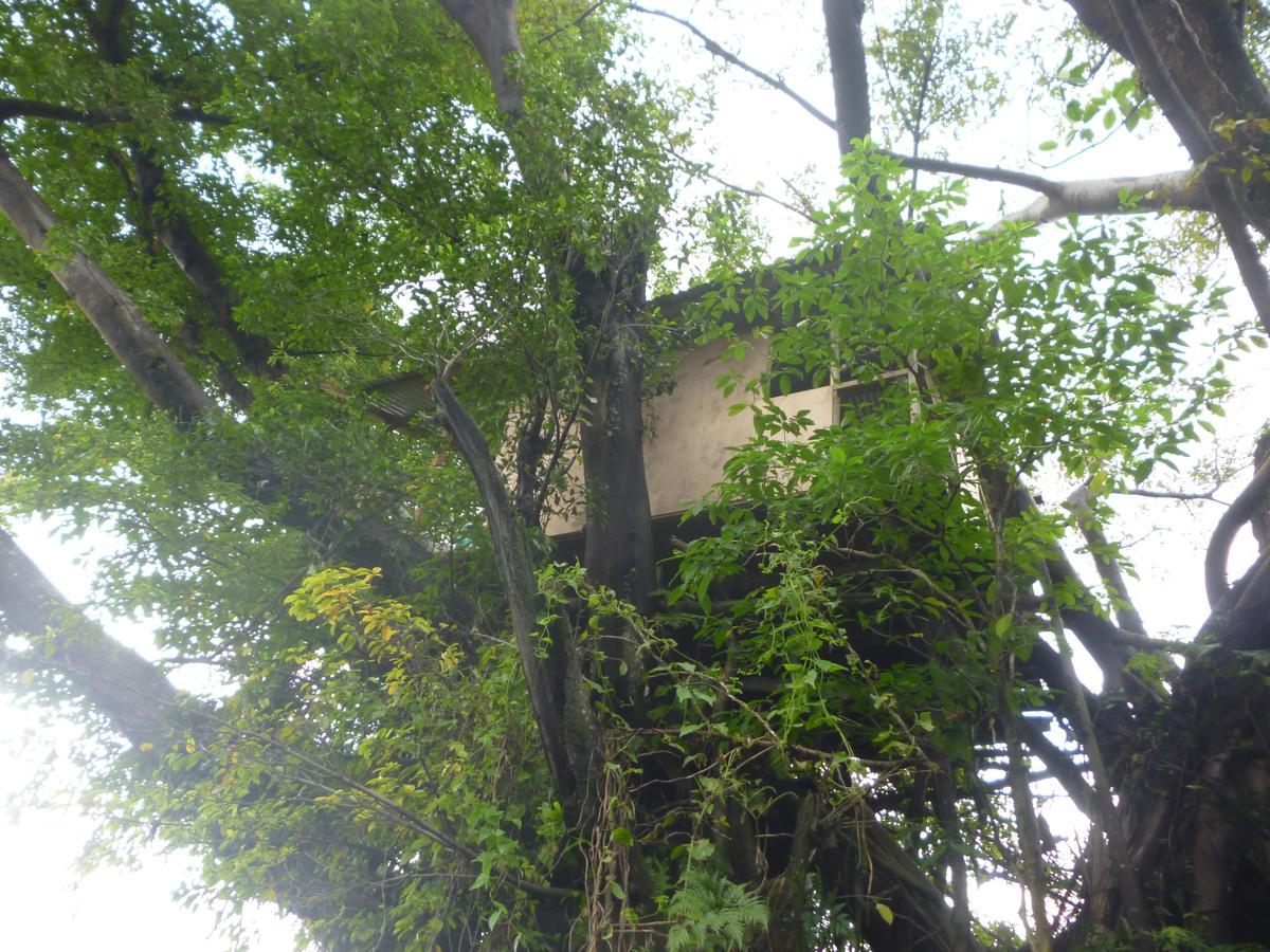 Castle Tree House And Bungalow Hotel White Sands Exterior photo