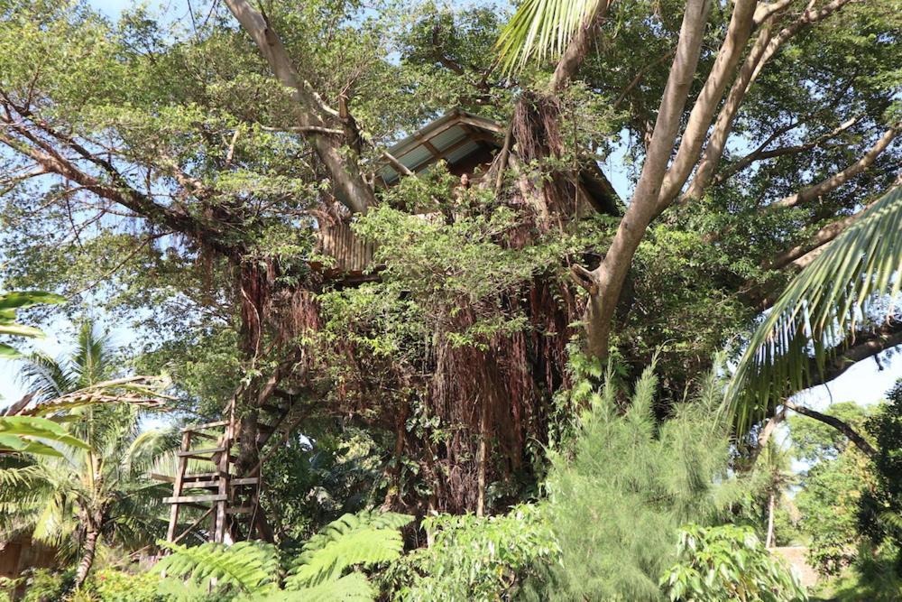 Castle Tree House And Bungalow Hotel White Sands Exterior photo