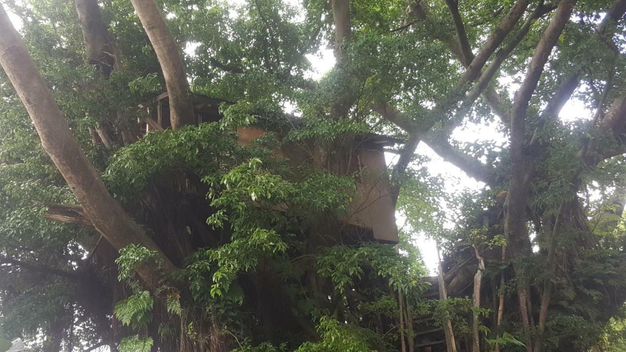 Castle Tree House And Bungalow Hotel White Sands Exterior photo